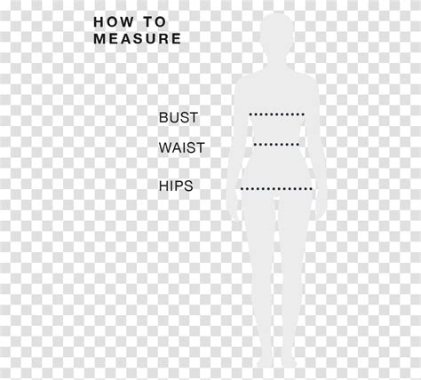  Body Measurements Synopsis 