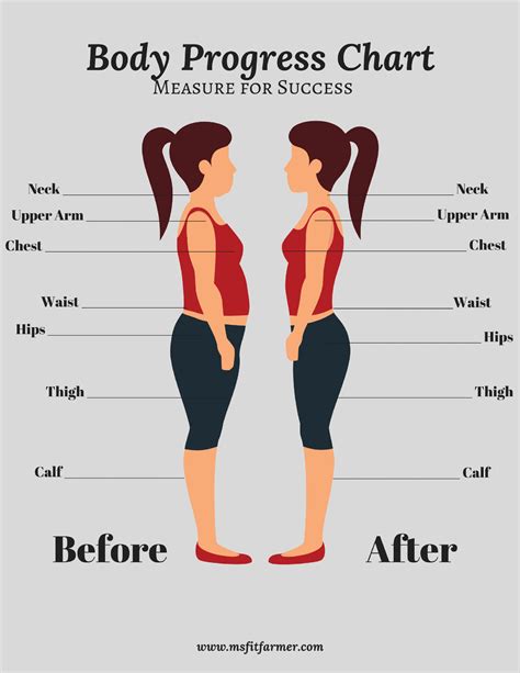  Body Measurements and Physical Fitness Routine 