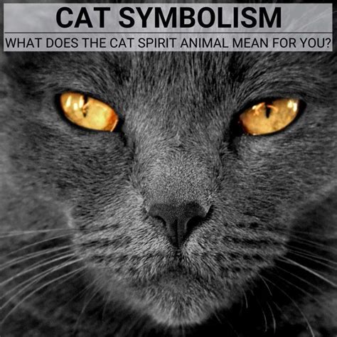  Deciphering the Symbolic Communication of Feline Beings in the Dream Realm 