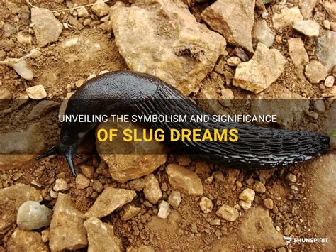  Deciphering the Symbolic Significance of Slugs in Dreams 