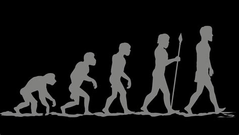  Evolvement of Beings Over Time 