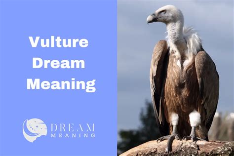  Exploring the Psychological Significance of Vultures in Dreams 