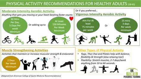  Fitness Regimen and Wellness Recommendations from the Renowned Personality 