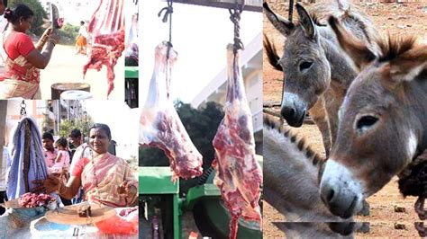  Health Benefits of Consuming Donkey Meat 