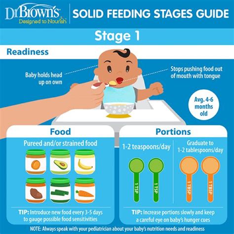  Introducing Solids: Fostering a Well-Balanced Diet for Your Little One 