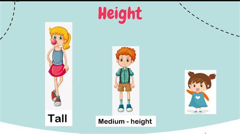  Physical Appearance: Stature and Body Shape 