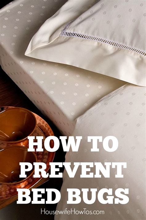  Prevention is Key: How to Keep Bed Bugs at Bay 