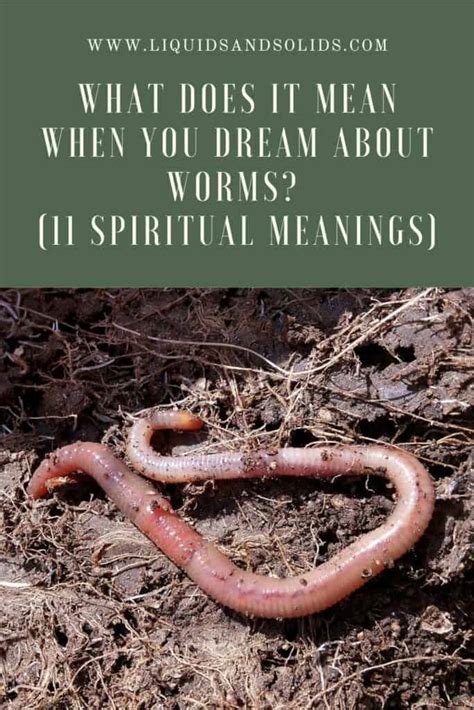  Revealing the Enigma of Worms within Dreamscapes 