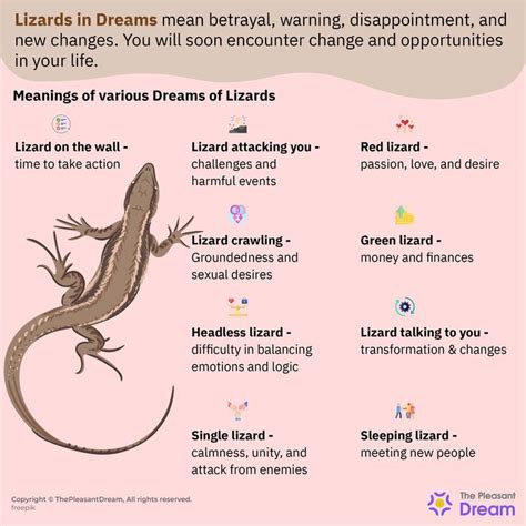  Symbolism of a Black Lizard in Dreams 