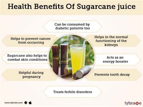  The Health Benefits and Nutritional Value of Sugarcane 