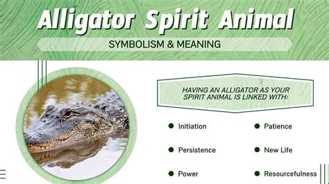  Unveiling the Cultural Significance of Alligators in Dreamlore 