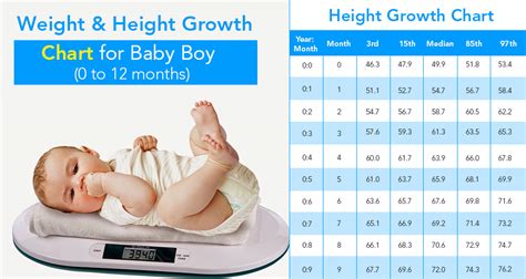 A Detailed Look at Baby Doe's Stature