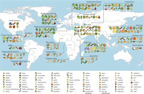 A Fruit-Filled Journey: Unveiling the Global Origins and Cultural Importance of Rare and Tantalizing Fruits