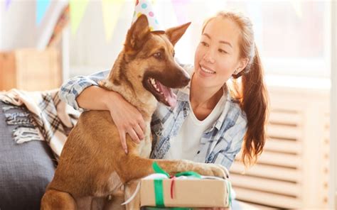 A Glimpse into the Past: Insights into the Significance of Your Beloved Canine Companion