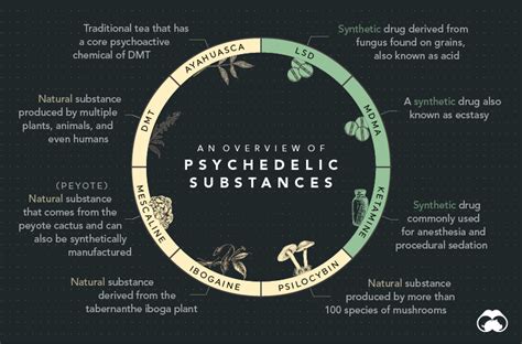 A Historical Retrospective on the Use of Psychedelic Substances