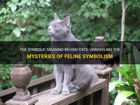 A Meaningful Interpretation: Unraveling the Symbolism of a Golden Feline