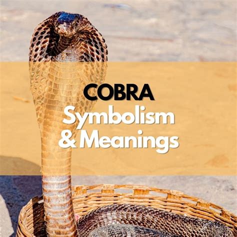 A Powerful Serpent: Understanding the Ancient Symbolism of Cobras