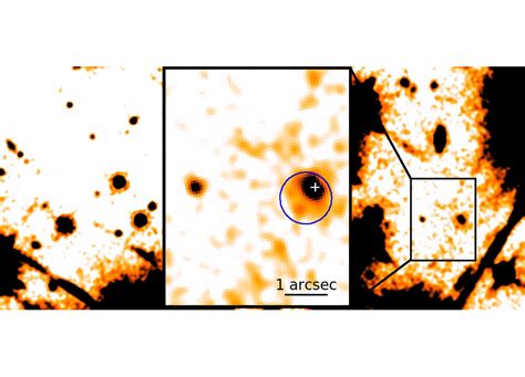 A Short History of the Enigmatic Star