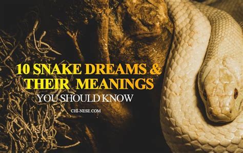 A Sign of Transformation: Insights into Dreaming About a Serpent Nibble on the Upper Arm