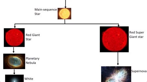 A Star's Journey: An Intriguing Overview