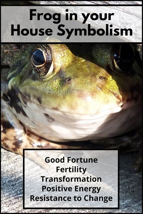 A Toad in Your House: Possible Meanings and Interpretations