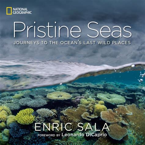 A Visionary's Desire: Exploring the Pristine Majesty of Our Vast Seas