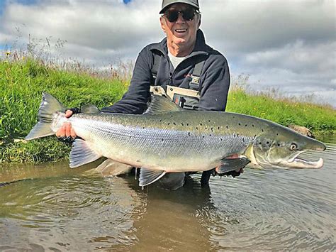 A Visual Delight: Exploring the Extraordinary Hues of Enormous Salmon