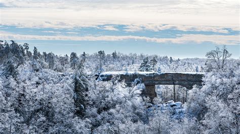 A Winter Wonderland: Discovering Frozen River Landscapes