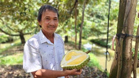 About the Mysterious Durian Man and his Financial Value