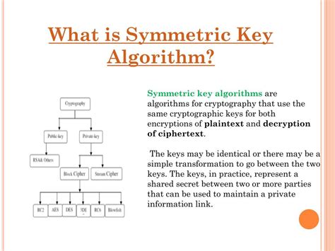 Ace Symmetric Profile: All you need to know