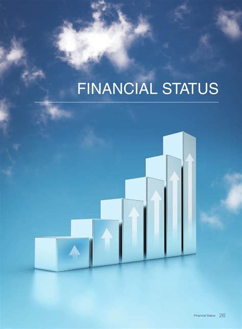 Achievements and Financial Status in the Current Year