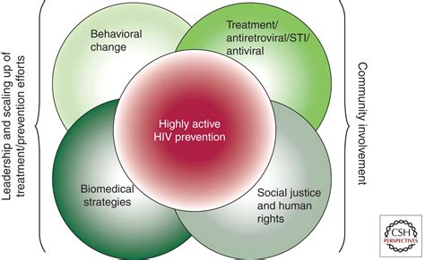 Advancements in Preventive Strategies for HIV