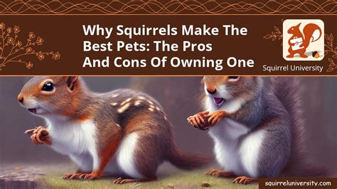 Advantages of Owning a Pet Squirrel