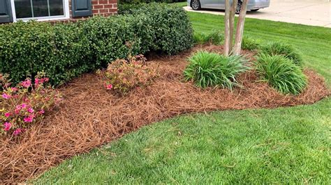 Advantages of Pine Straw: Why Choose it Over Other Ground Cover Materials