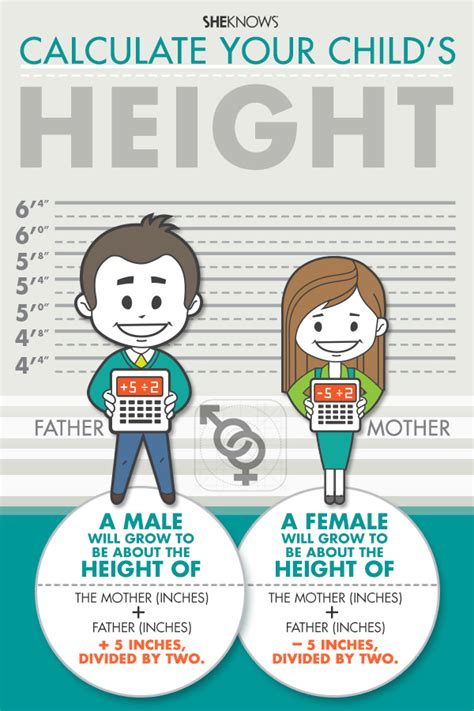 Age, Height, and Figure: What to Know