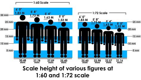 Age, Height and Figure