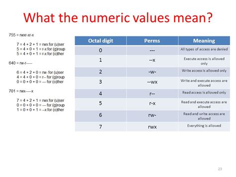 Age: Just a Numerical Value