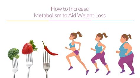 Aids in Weight Loss and Metabolism