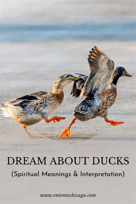 Alternative Meanings of Dreaming about Ducks