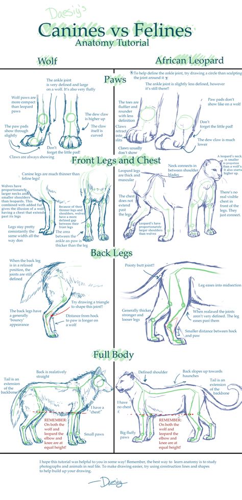 An Analysis of Dream Imagery: Contrast between Dark Feline and Canine Figures