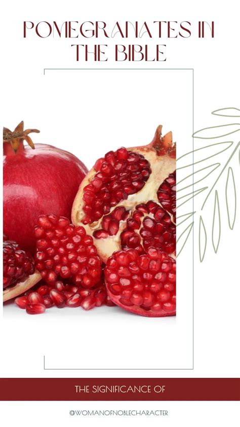 An Ancient Symbol of Fertility: The Cultural Significance of Pomegranate