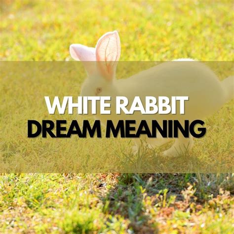 An Insight into Dreams About Rabbit Slaughter