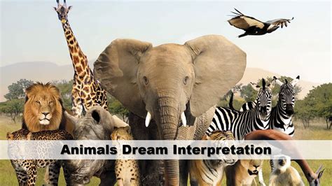 An Overview of Black Animals in Dream Interpretation