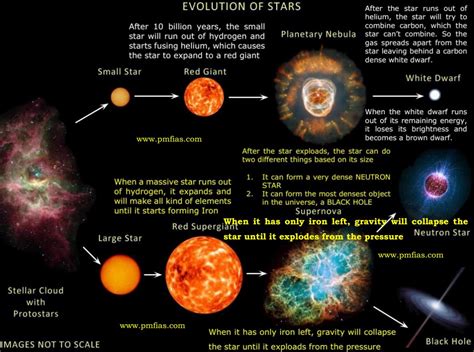 An Overview of the Life of the Enigmatic Star