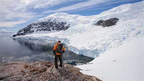 An Unforgettable Encounter: The Extraordinary Journey of Saving an Exquisite Creature