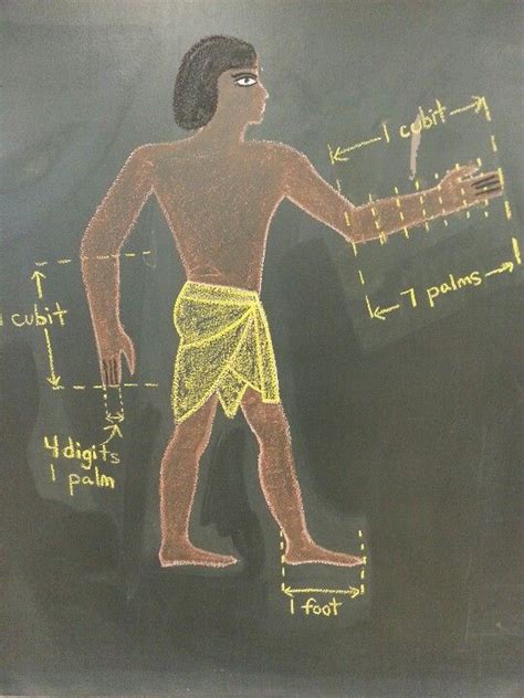 Analysis of Pharaoh Body's Height and Physique