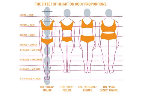 Analyzing Vanya Roma's Physique, Stature, and Physical Appearance