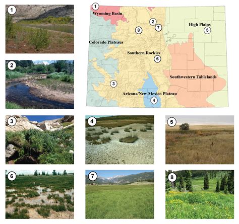 Analyzing Variations in Wetland Symbolism Across Different Societies