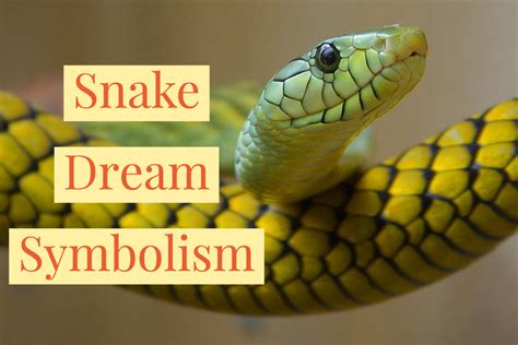 Analyzing and Interpreting the Symbolism Behind Your Serpent Vision