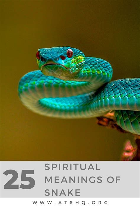 Analyzing the Cultural Significance of Serpent Symbolism in Dream Interpretation